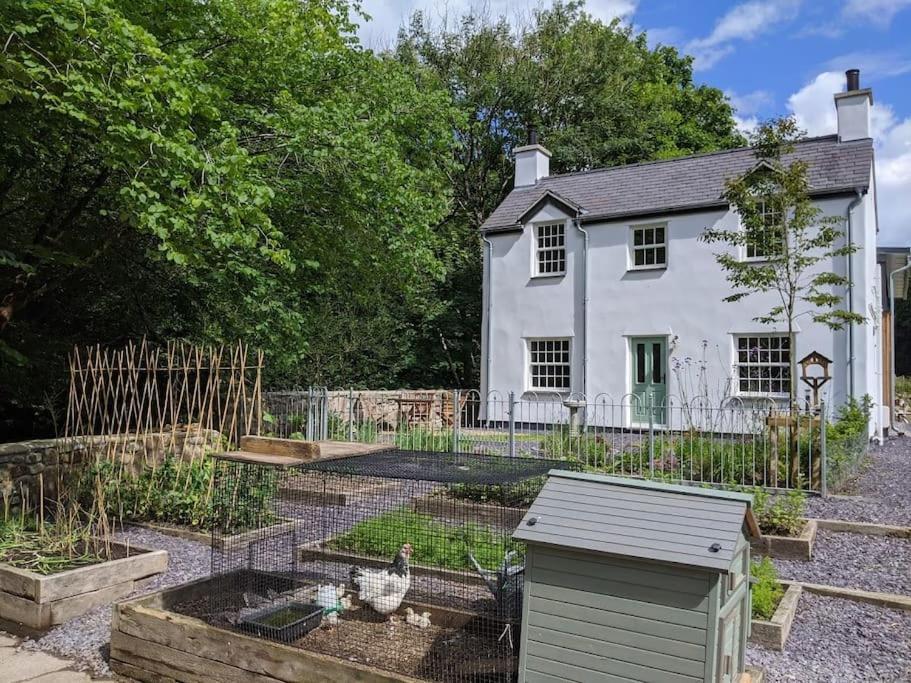 Riverside Cottage Walking Distance Into Caernarfon Exterior foto